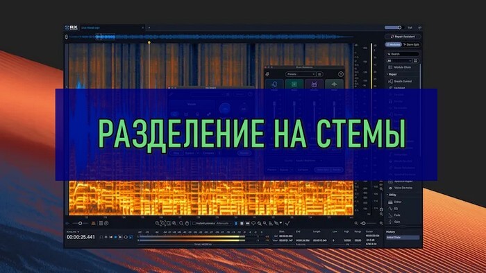 Izotop RX 12 может разделить микс на голос, музыку и эмбиенс